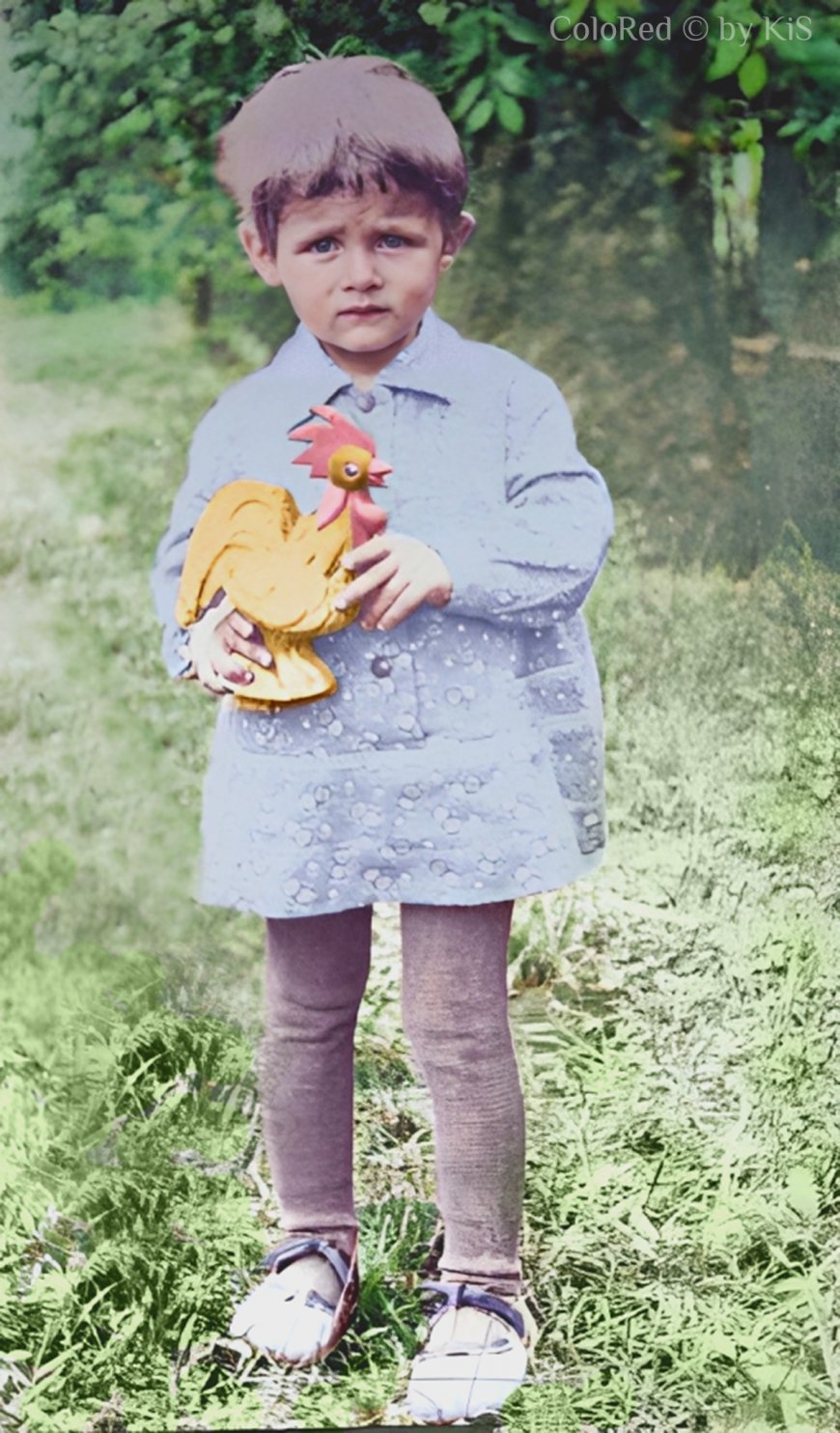 Елена Михальцевич