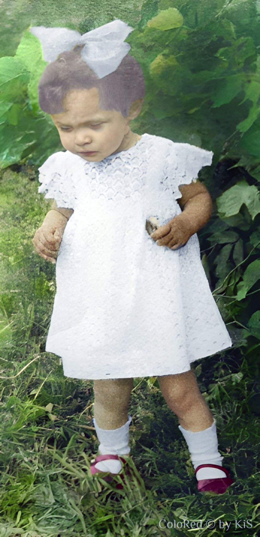 Елена Михальцевич